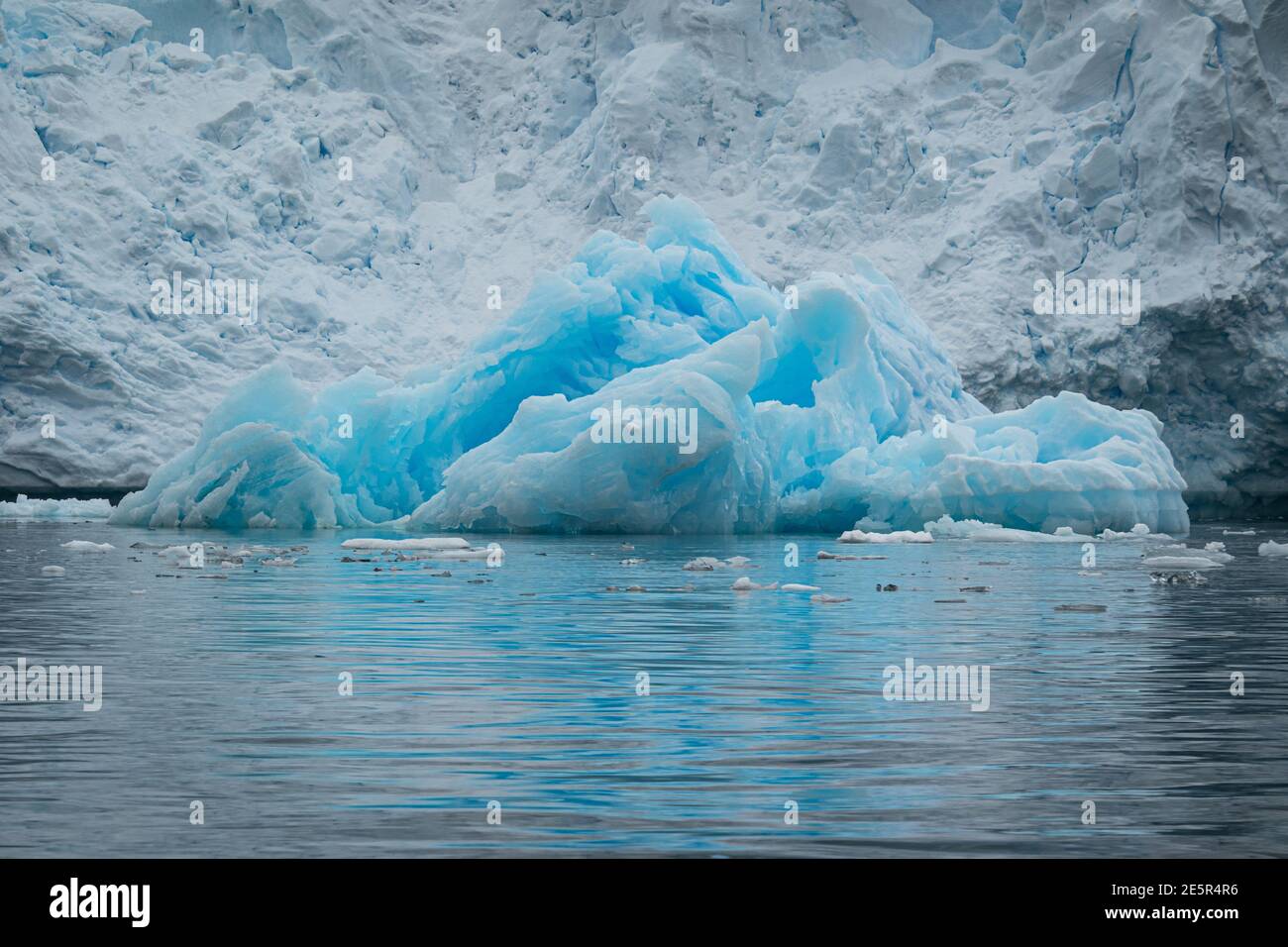 Los icebergs en la Antártida Foto de stock