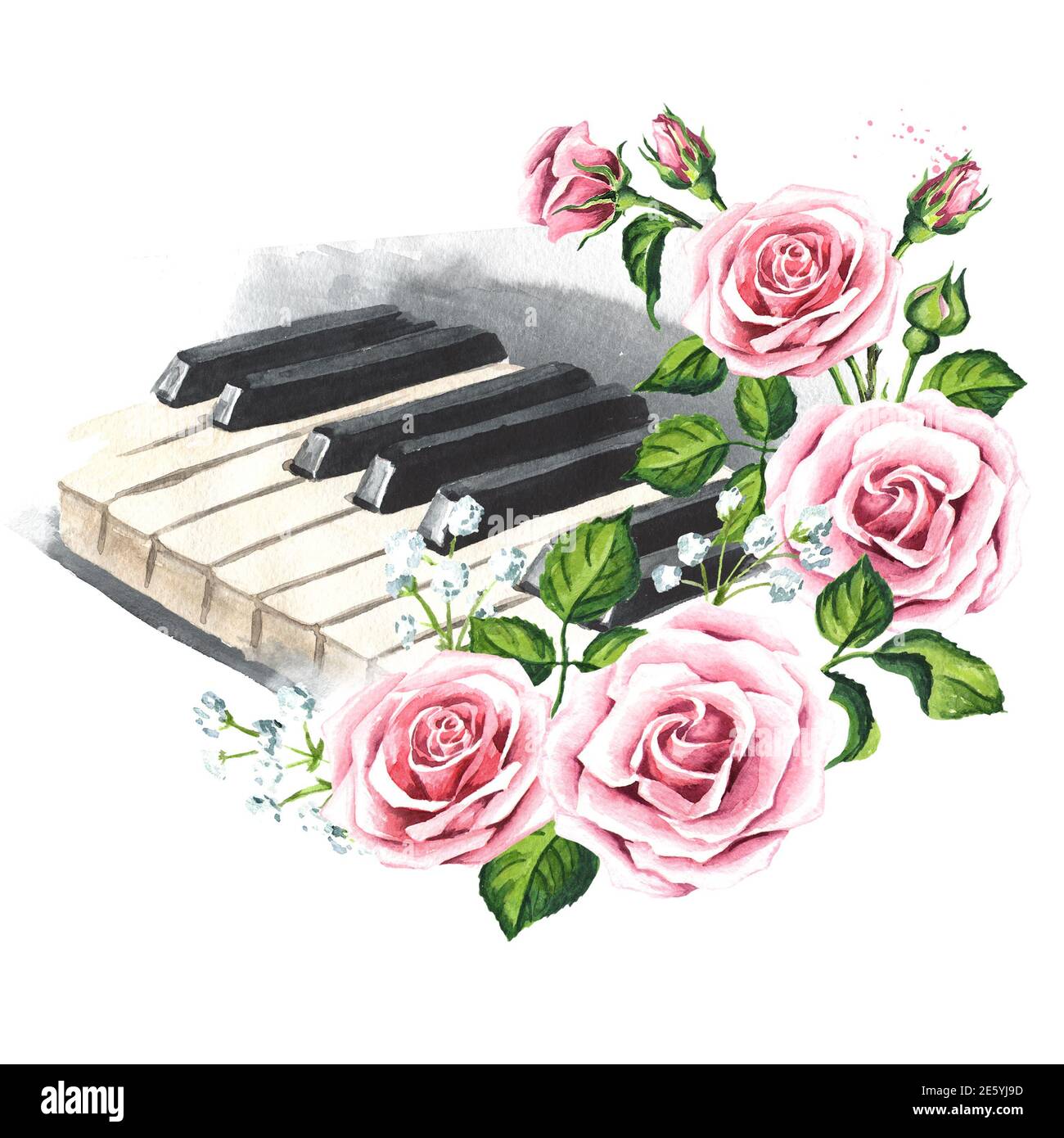 Teclas de piano y flores de rosas. Ilustración de acuarela dibujada a mano  aislada sobre fondo blanco Fotografía de stock - Alamy