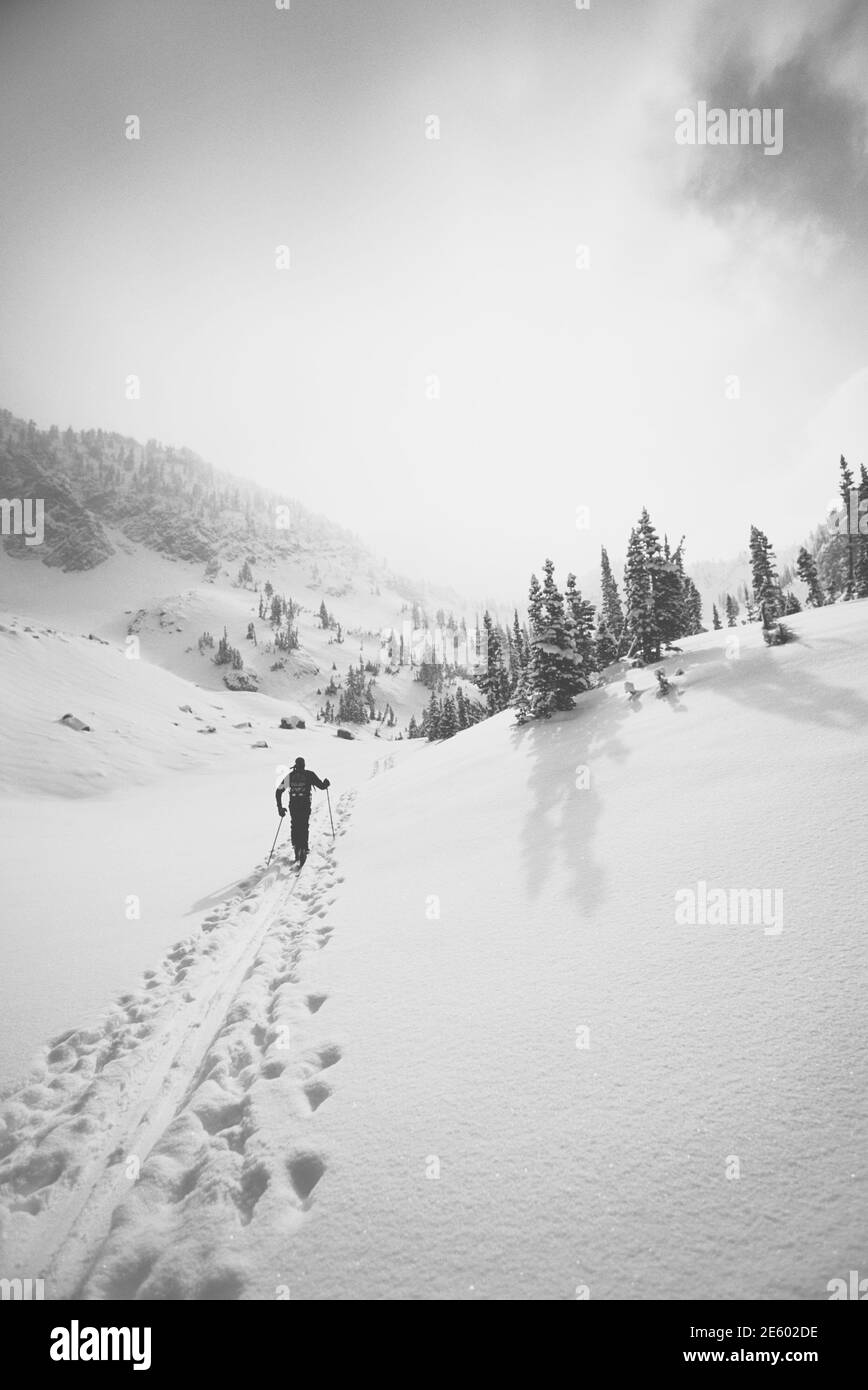 Foto en blanco y negro de esquiador caminando por las montañas nevadas Foto de stock