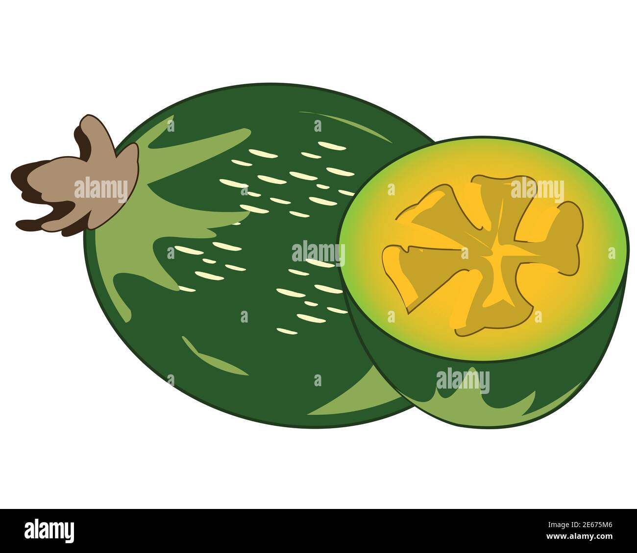Ilustración vectorial fruta y pulpas exóticas maduras de feijoa Ilustración del Vector