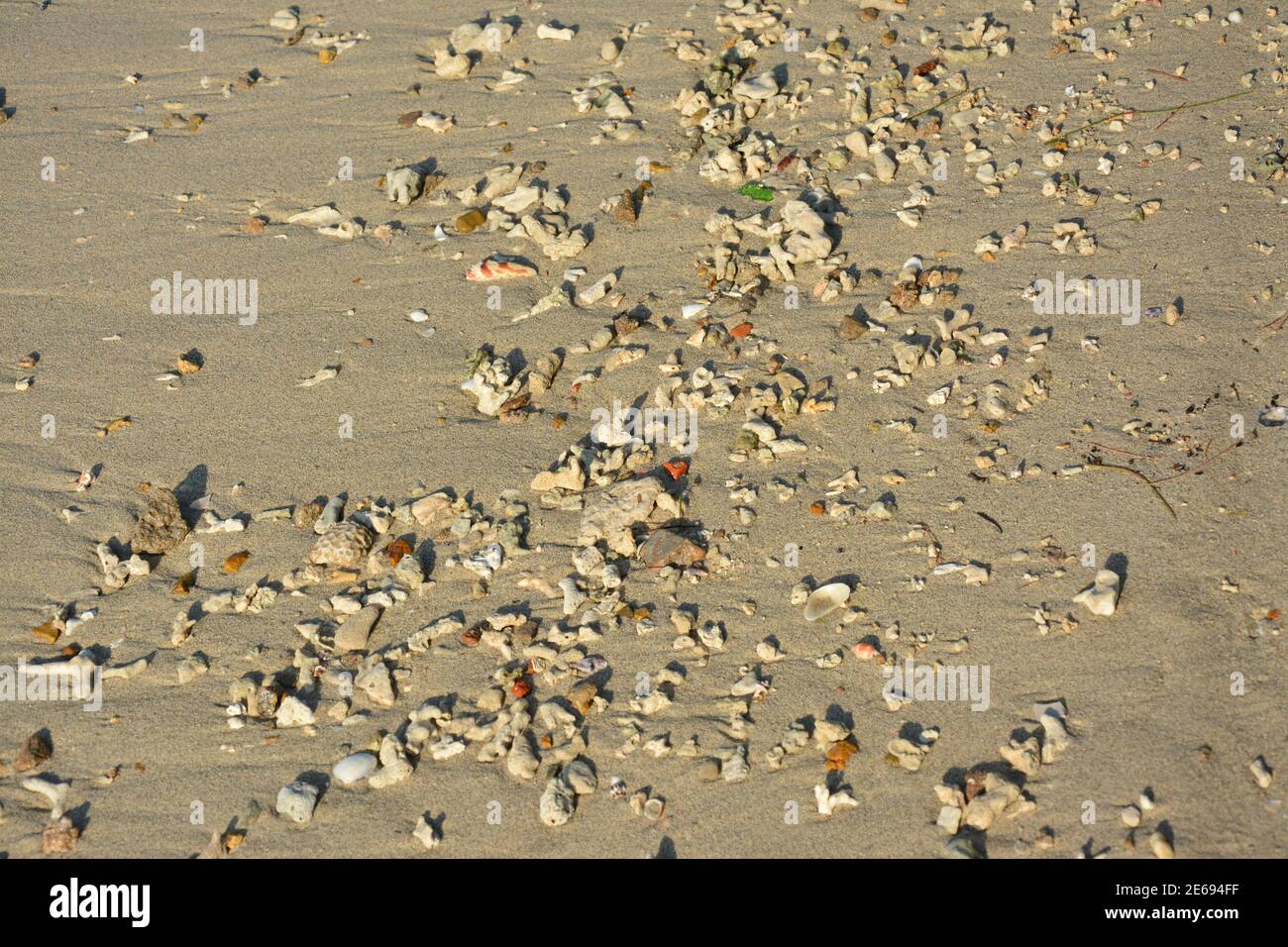 grupos de piedras pequeñas en la playa en un día soleado Foto de stock