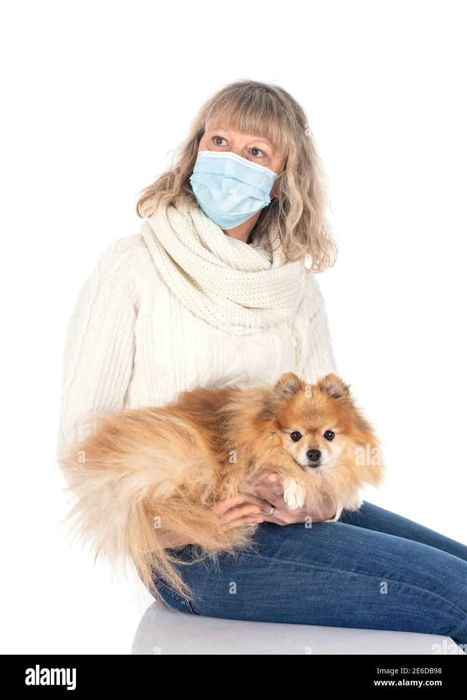 Pomeranian Adulto Fotos E Imagenes De Stock Alamy