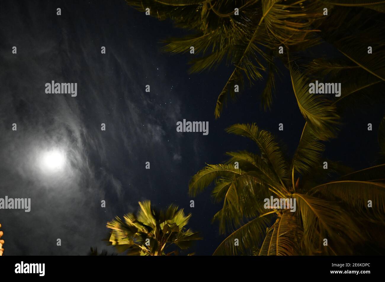 cielo nocturno en la playa Foto de stock