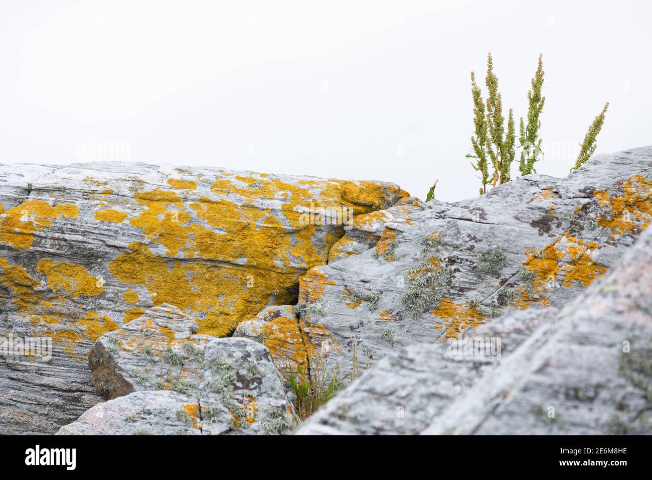 Rocas crecidas en la costa de Lindesnes, Noruega Foto de stock