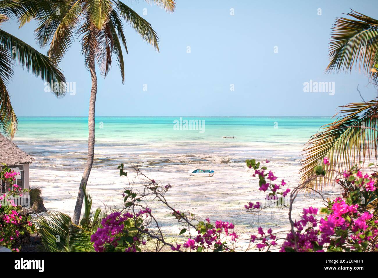 Hermoso paisaje paradisíaco de la isla de Zanzíbar. Clima tropical, playa con océano turquesa, cocoos palmeras, flores, y barco de madera. Foto de stock