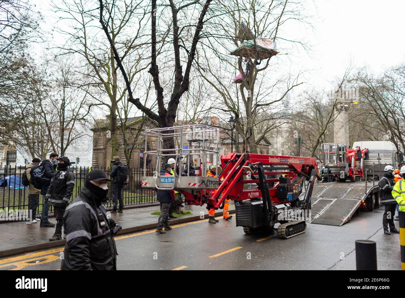 Desalojo de manifestantes de Stop HS2 del campamento en Euston Square Gardens, Londres, 27 de enero de 2021. Se están creando cerezos. Foto de stock