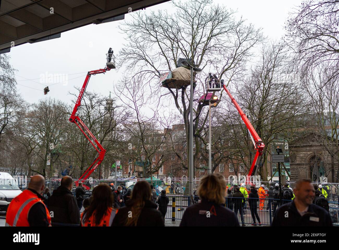 Desalojo de manifestantes de Stop HS2 del campamento en Euston Square Gardens, Londres, 27 de enero de 2021. Los cerezos rodean a los manifestantes en un árbol. Foto de stock
