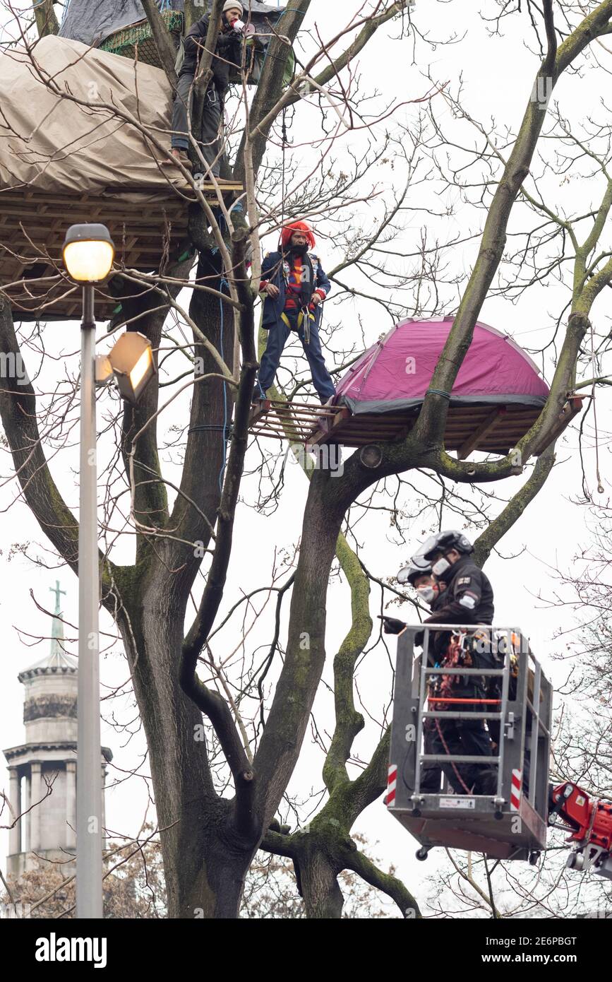 Desalojo de manifestantes de Stop HS2 del campamento en Euston Square Gardens, Londres, 27 de enero de 2021. Un recolector de cerezas asciende a un manifestante en el árbol. Foto de stock
