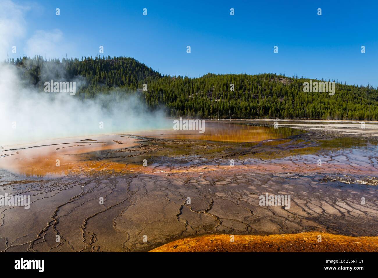 Las fuentes termales son las características hidrotermales más comunes en Yellowstone. Varían desde agua hirviendo como moca hasta piscinas claras y tranquilas. Foto de stock