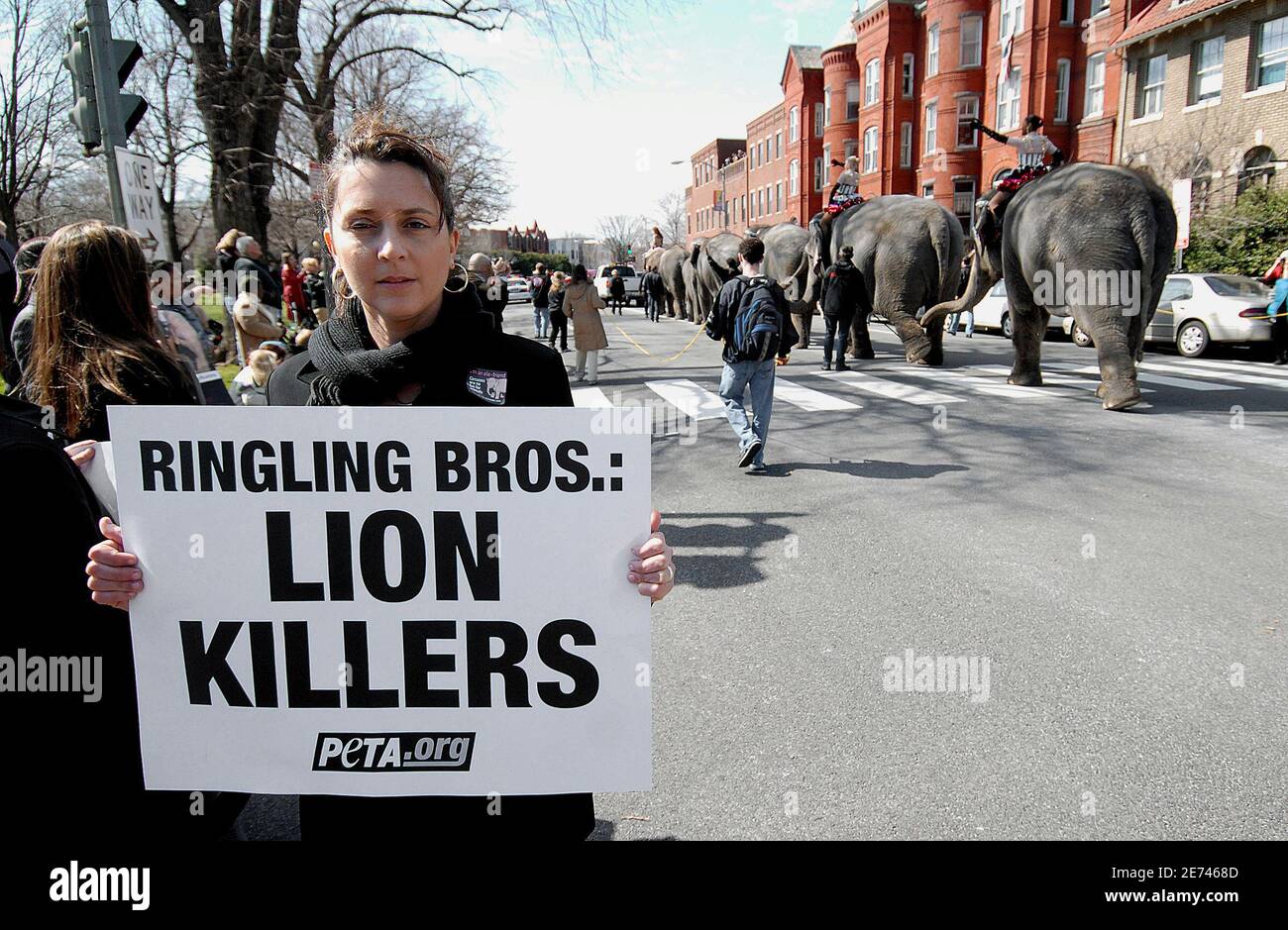 Los manifestantes de PETA, se opusieron a la exposición de animales en el circo, diplay signos mientras que 'elefantes con Ringling Bros. Y Barnum & Bailey Circus caminar lentamente durante el desfile anual de Pachyderm cerca del Capitolio de los EE.UU. En Washington DC, EE.UU. El 19 de marzo de 2007. Foto de Olivier Douliery/ABACAPRESS.COM Foto de stock