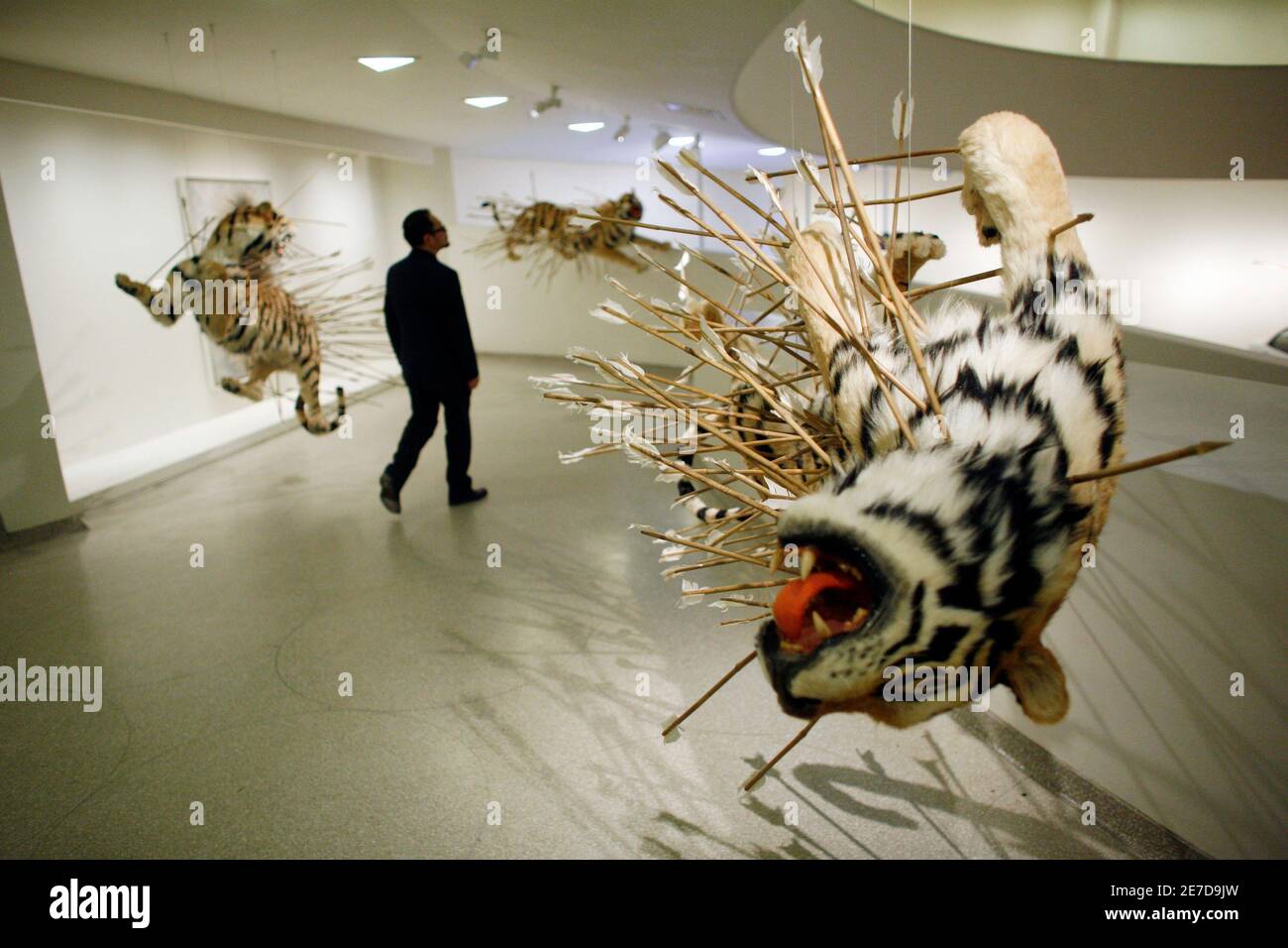 Un visitante al Museo Guggenheim camina por la instalación "inoportuna: Etapa dos" por el artista Cai Guo-Qiang en Nueva York, 21 de febrero de 2008. La pieza es parte de la exposición del artista Cai Guo-Qiang: Quiero creer. REUTERS/Keith Bedford (ESTADOS UNIDOS) Foto de stock