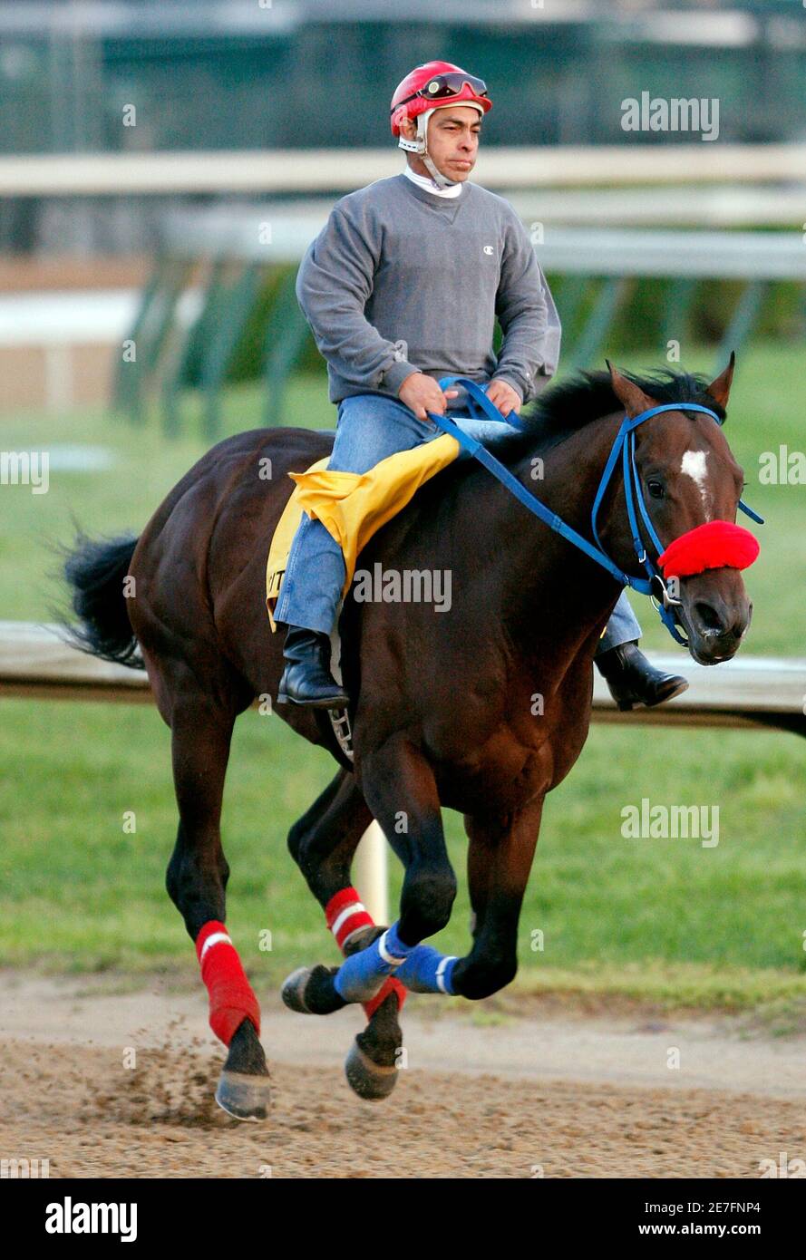 Kentucky Derby esperanzador Tomcito con Manfreddy Guzman gallop en la pista  durante los entrenamientos a primera hora de la mañana en Churchill Downs  en Louisville, Kentucky, 28 de abril de 2008. El