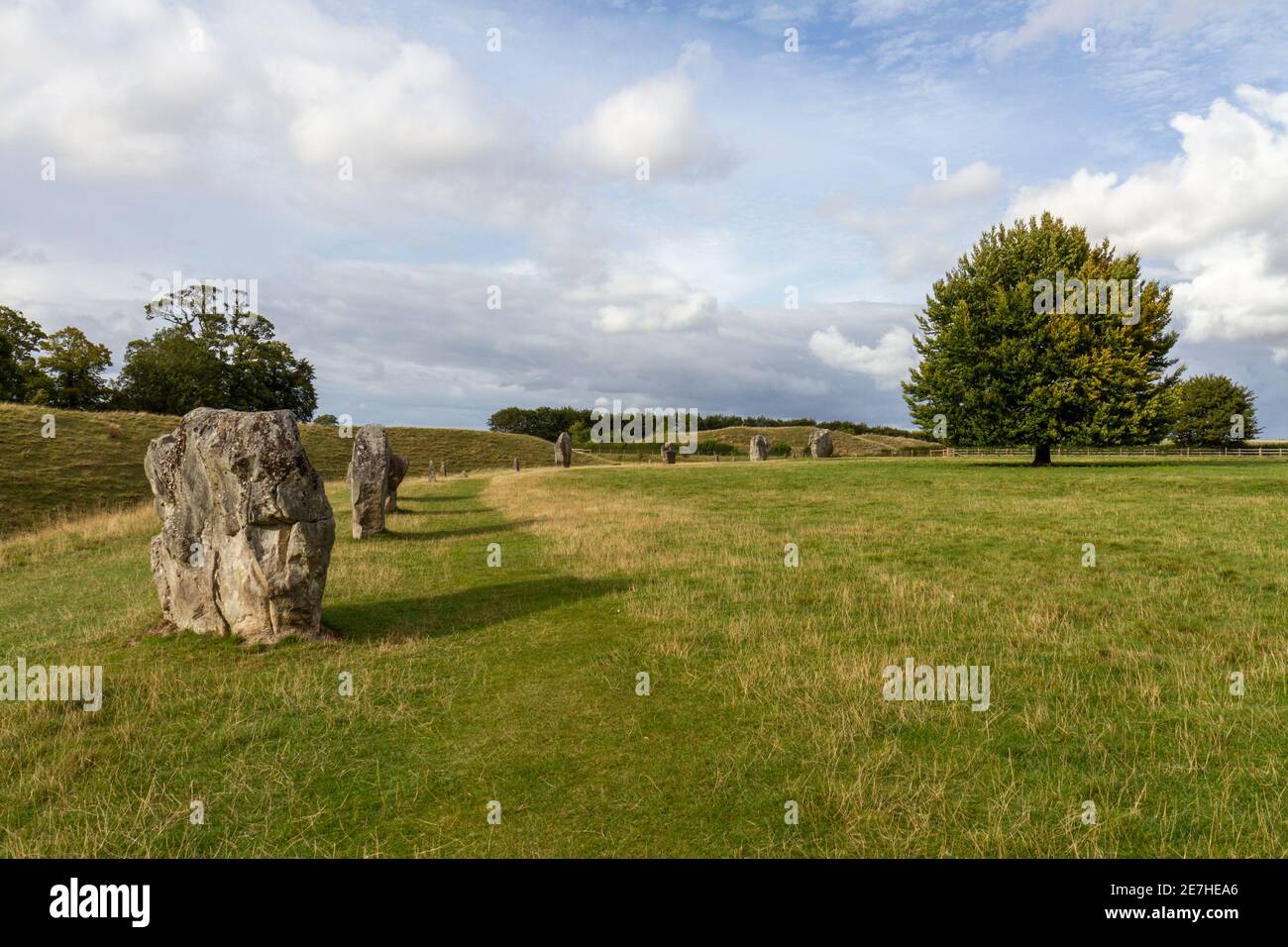 Parte del anillo exterior del sitio de Avebury Henge & Stone Circles, Wiltshire, Inglaterra. Foto de stock
