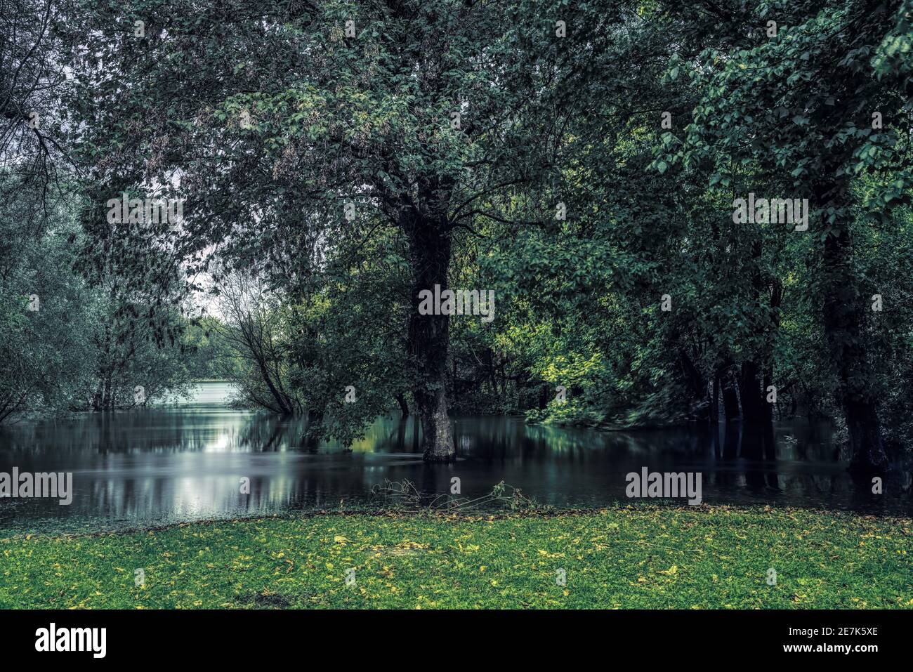 El río Ticino en el bosque durante la inundación la temporada de primavera Foto de stock