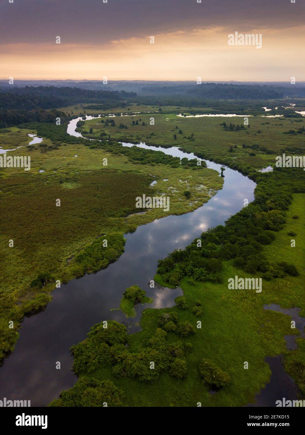 Río Rembo Ngowe y humedales tropicales al amanecer, Akaka, Parque Nacional Loango, Gabón. Foto de stock