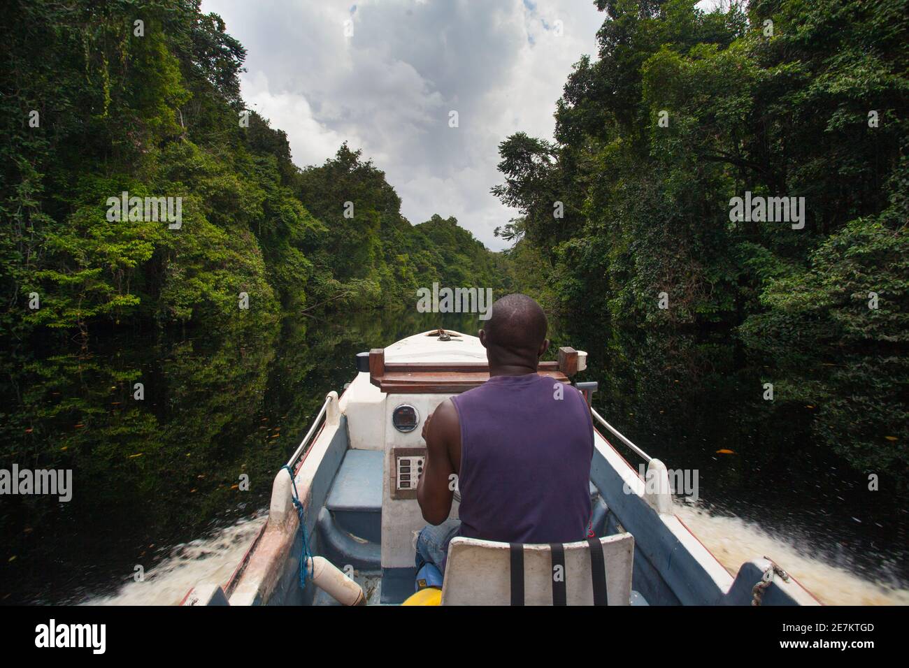 Paseo en barco por el río Mpivie, Gabón, África central Foto de stock