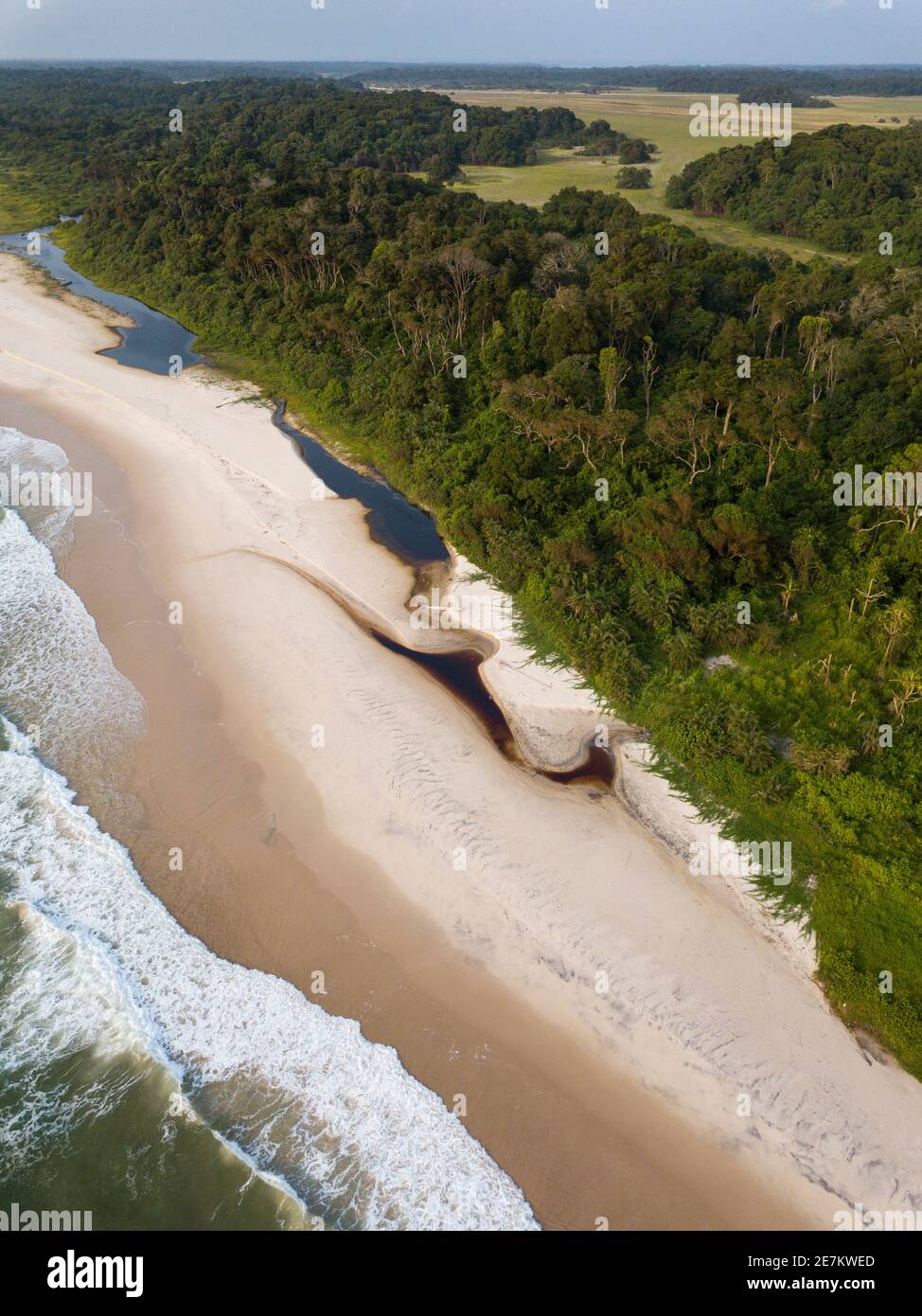 Playa y selva tropical, cerca de Omboue, Gabón, África central Foto de stock