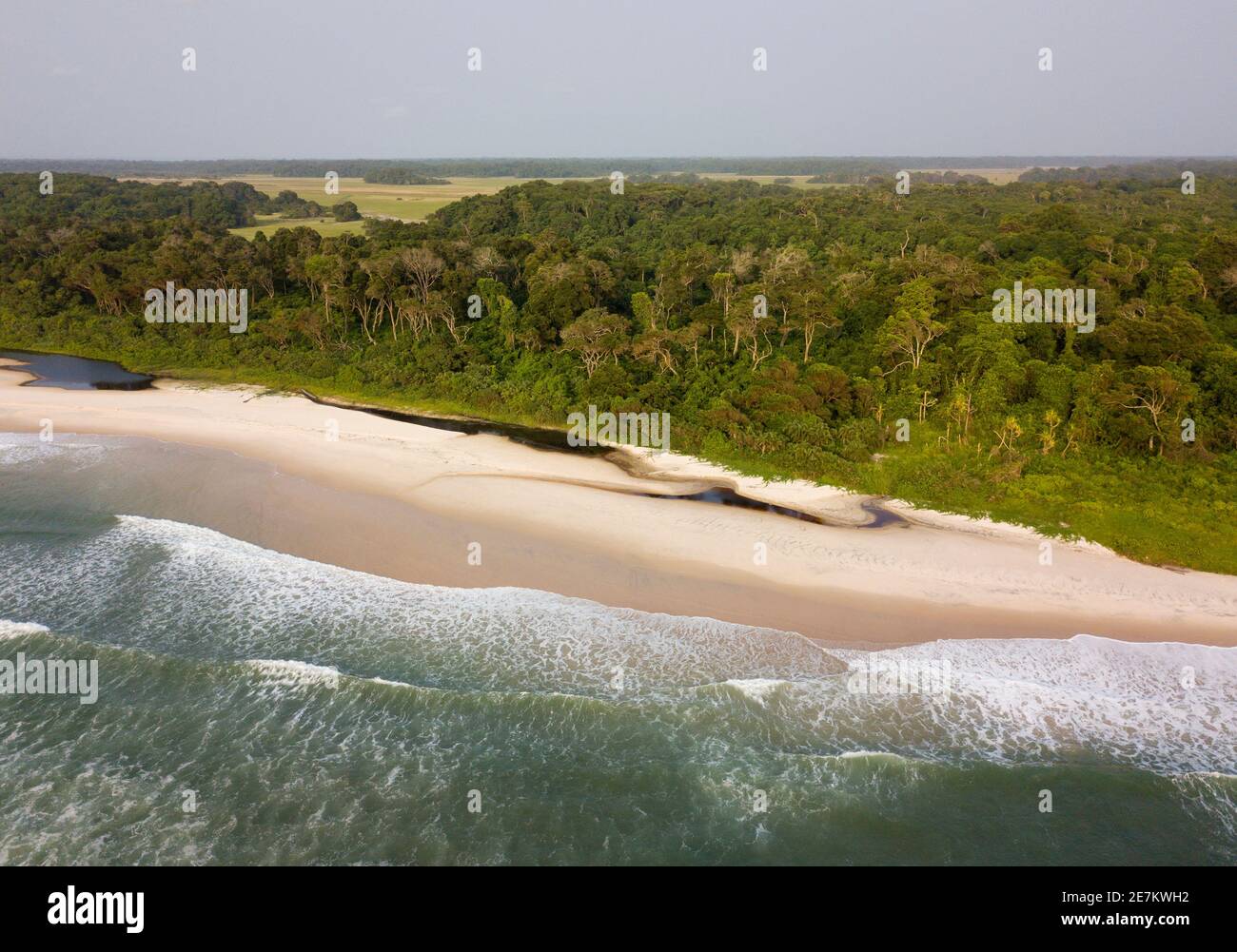 Playa y selva tropical, cerca de Omboue, Gabón, África central Foto de stock