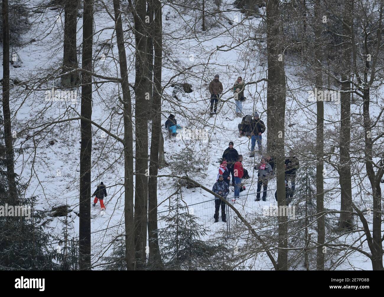 Willingen, Alemania. 30 de enero de 2021. Esquí nórdico, salto de esquí: Copa del Mundo, gran colina, hombres. Los aficionados a los saltos de esquí se encuentran en el bosque sobre el estadio de esquí y observan el salto de esquí de Mühlenkopf. Crédito: Arne Dedert/dpa/Alamy Live News Foto de stock
