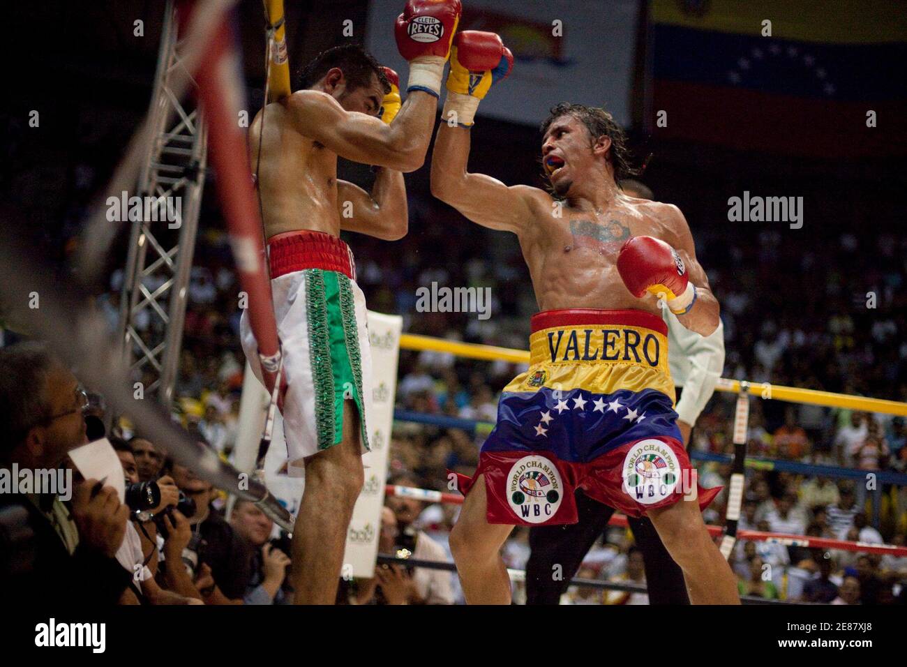Edwin Valero (C), campeón ligero del WBC venezolano, celebra después de su  victoria sobre el boxeador mexicano Hector Velázquez después de su lucha  del WBC en la Guaira el 20 de diciembre