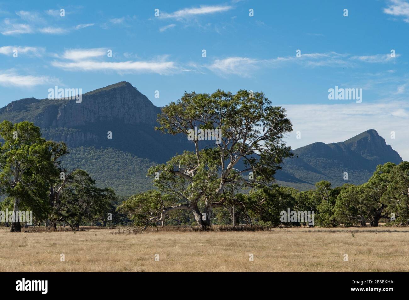 Monte abrupto desde Old Ararat Road, Dunkeld, Southern Grampians, Victoria, Australia Foto de stock