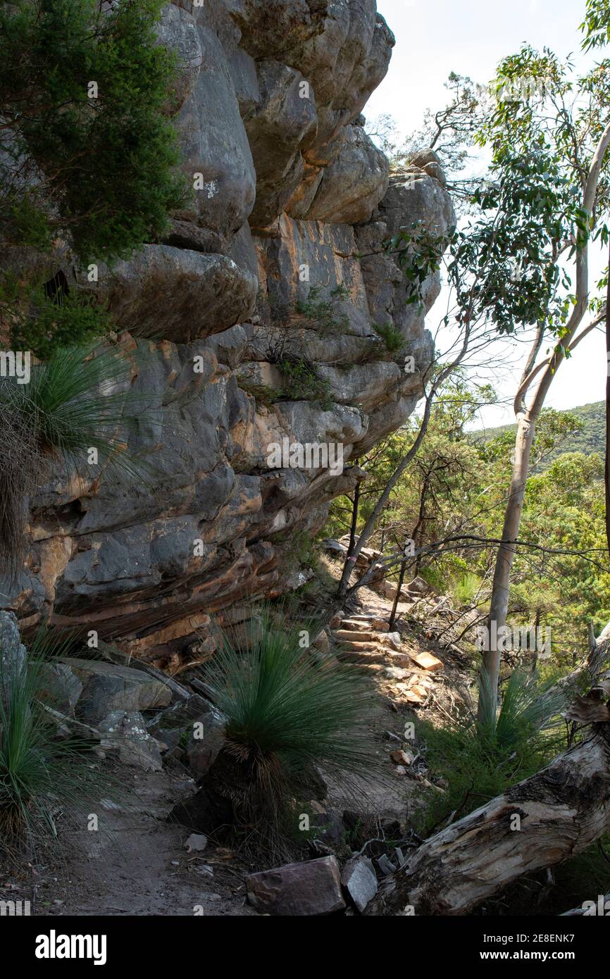 Camino al Monte abrupto, Grampians del Sur, Victoria, Australia Foto de stock