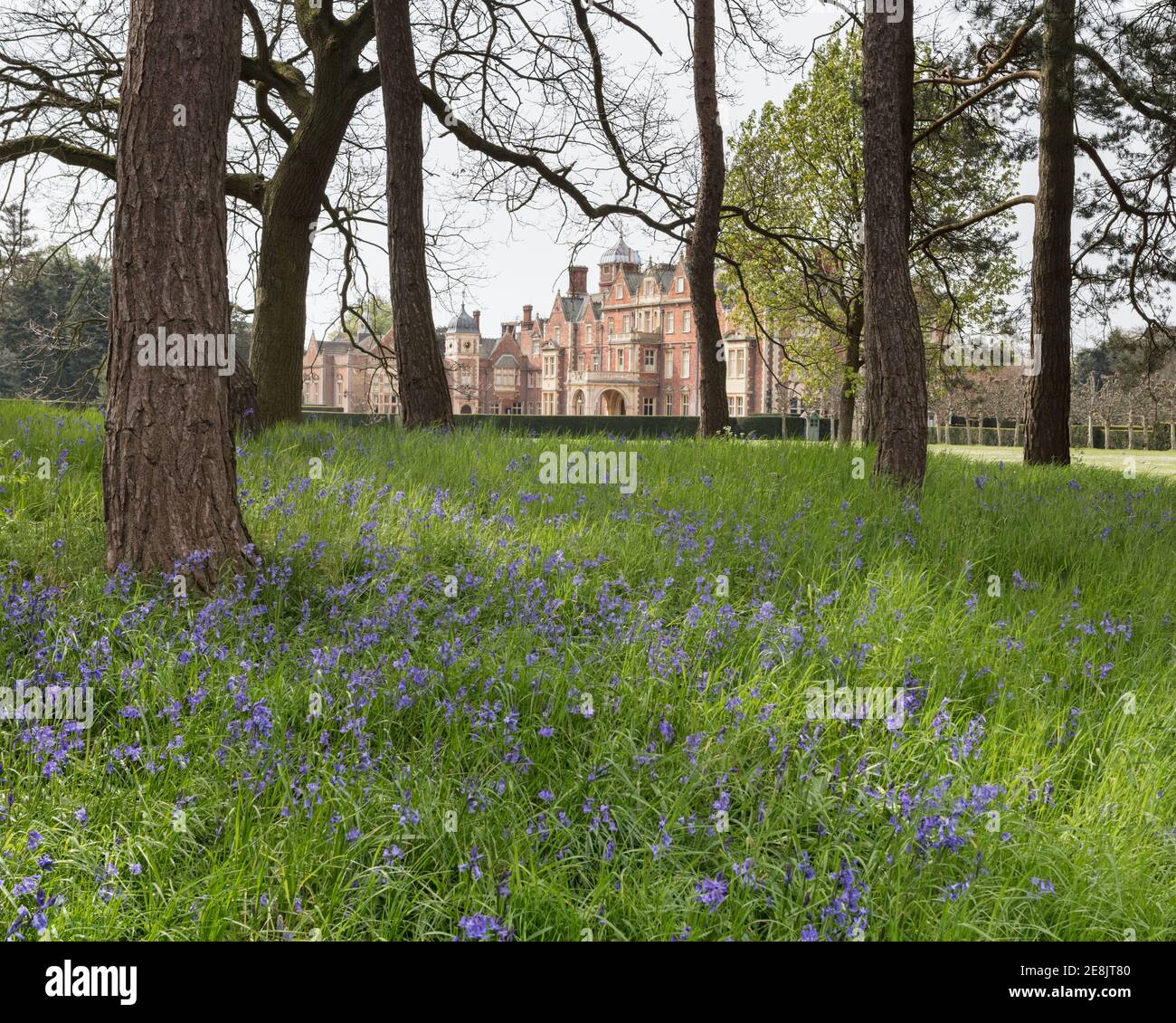 Reino Unido, Norfolk, Sandringham Estate, 2019, abril de 23: Vista de la casa y el terreno, Sandringham House, la residencia de la Reina Isabel II en Norfolk, Foto de stock