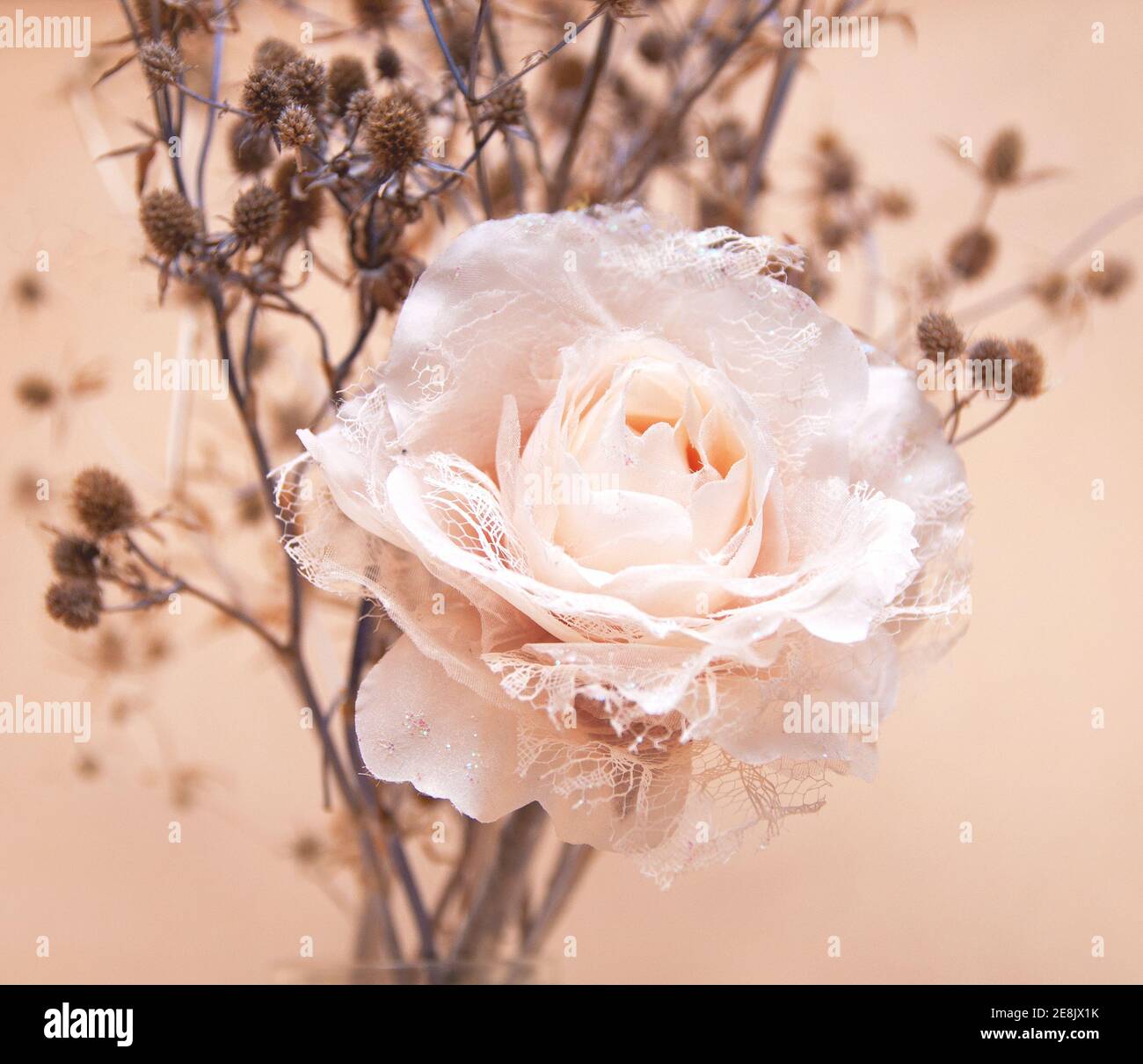 rosa artificial en colores pastel con una planta de cardo un fondo beige  Fotografía de stock - Alamy