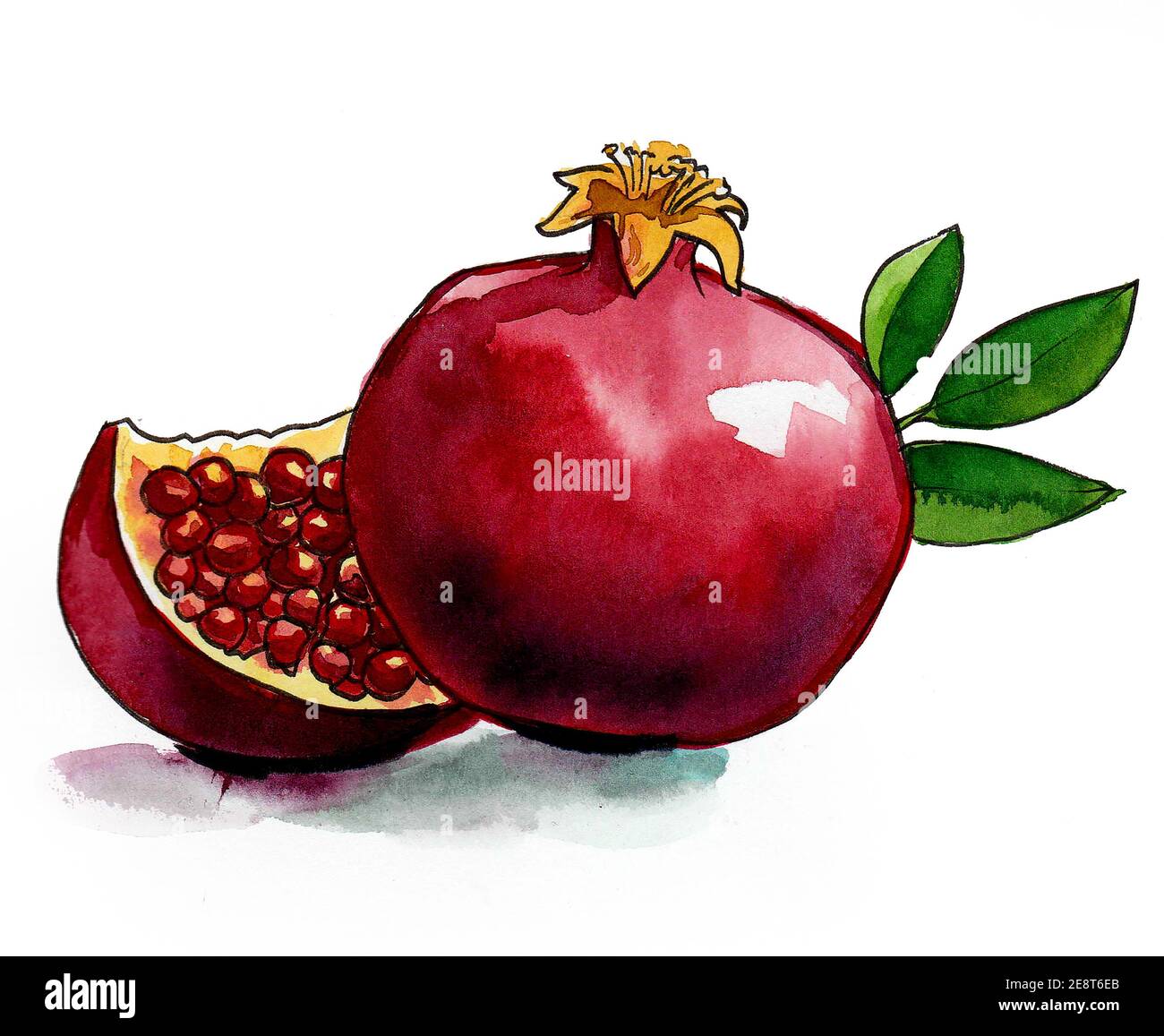 Fruta de granada jugosa y roja. Dibujo de tinta y acuarela Fotografía de  stock - Alamy