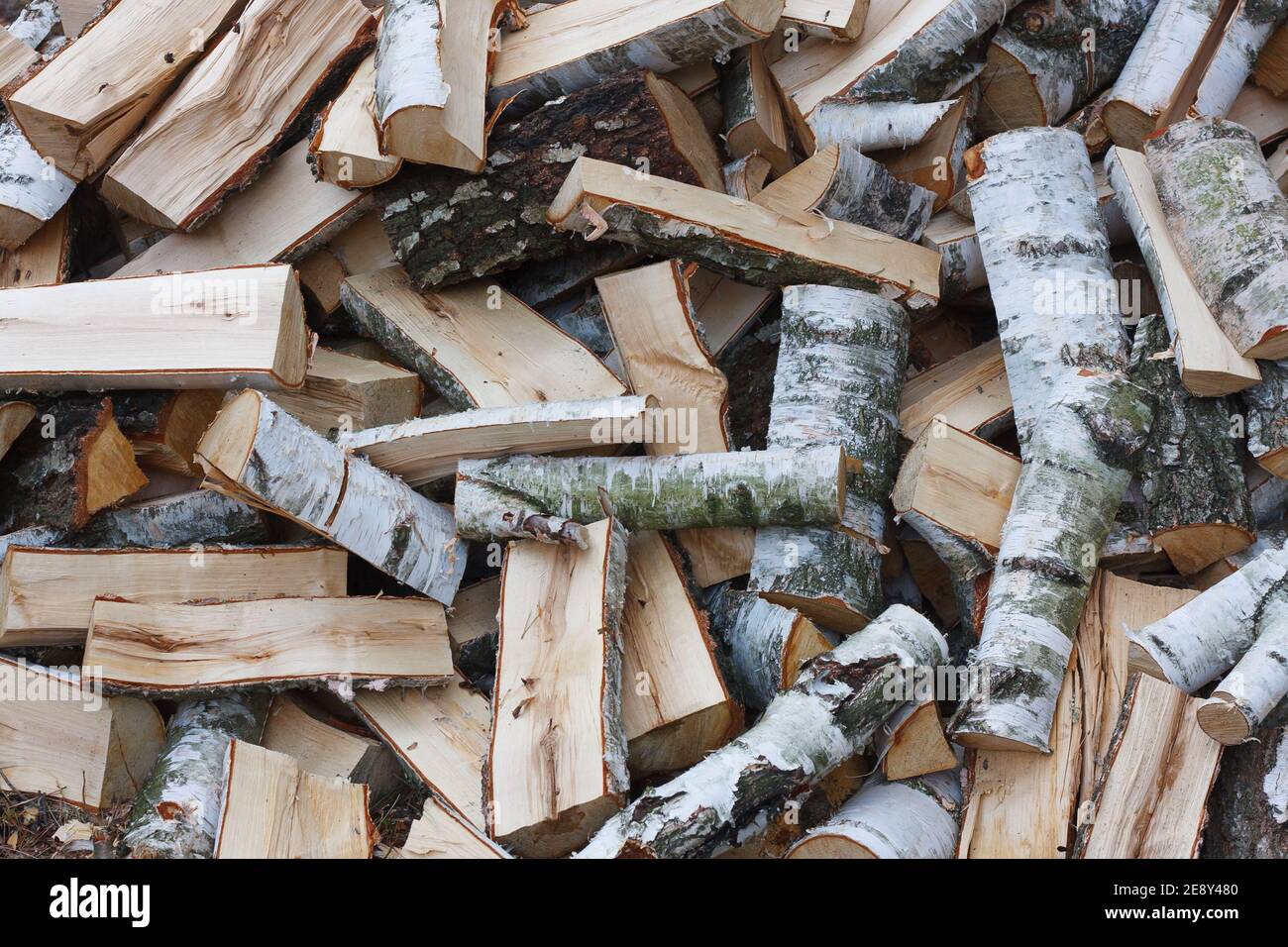 Pila de madera de abedul. Madera para la chimenea Foto de stock