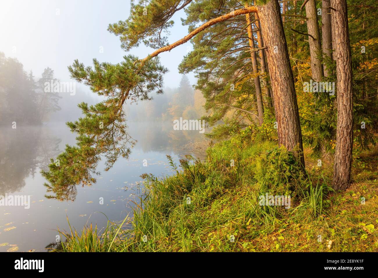 Otoño en el lago de Masuria, Polonia Foto de stock