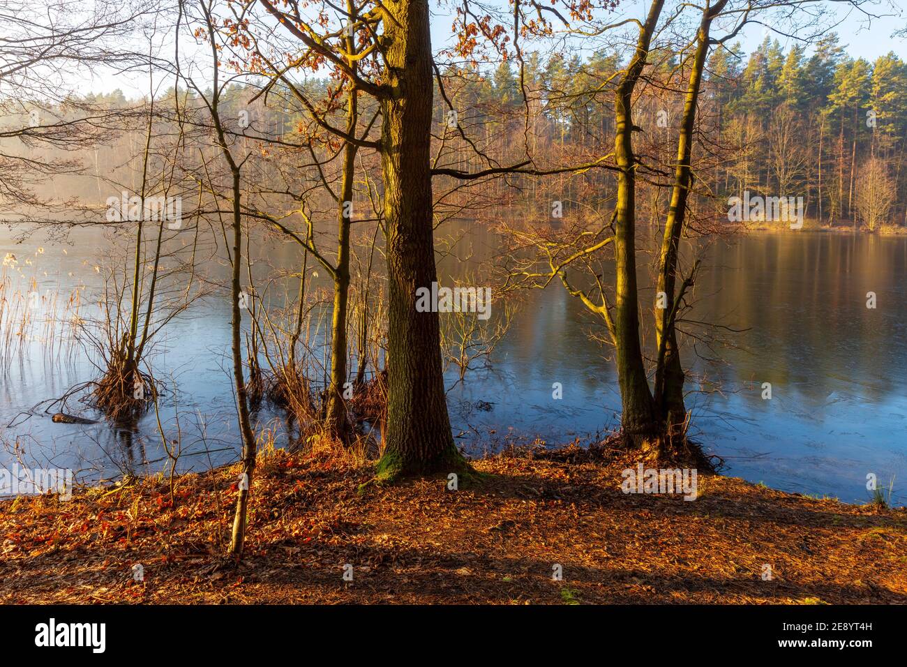 Otoño en el lago de Masuria, Polonia Foto de stock