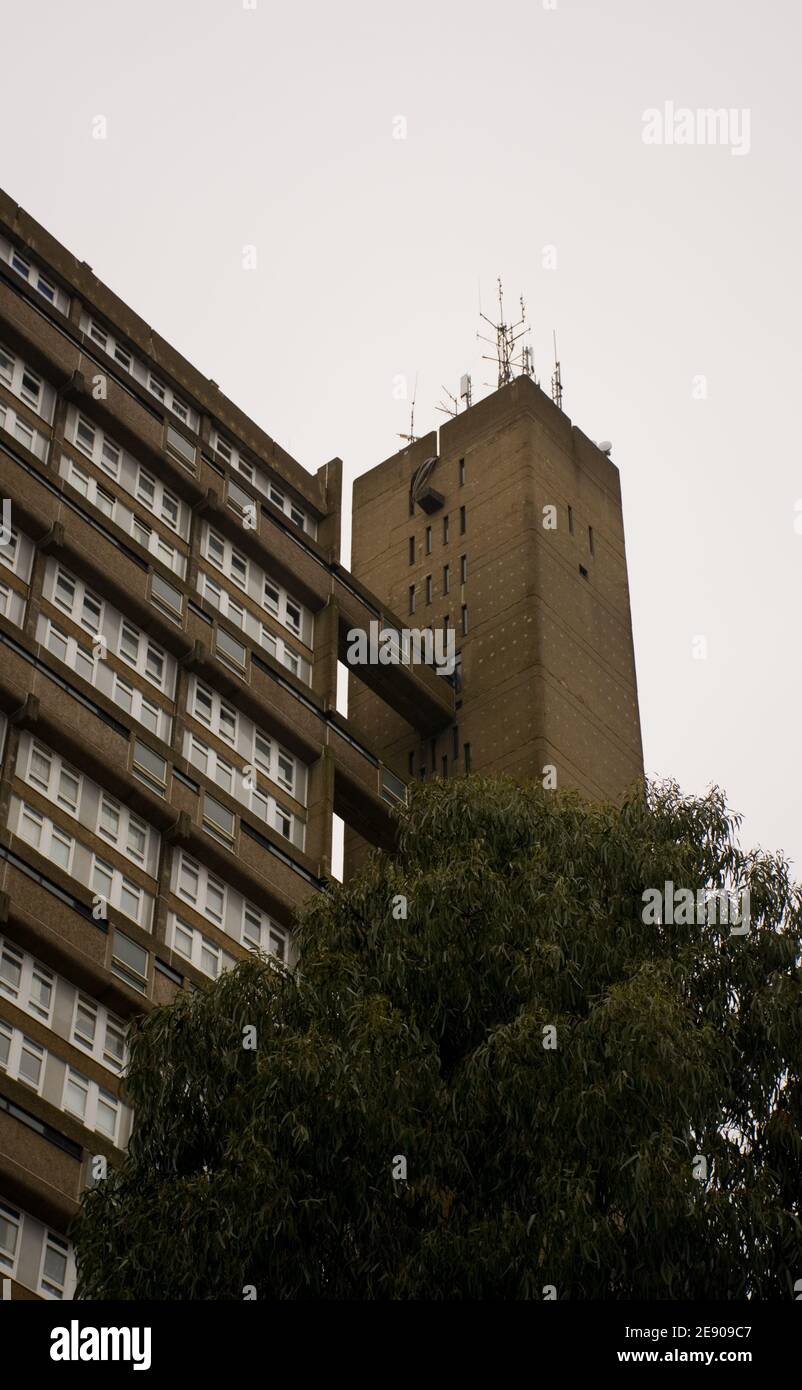 Trellick Tower, el icónico bloque de la torre brutalista, Golborne Road, Kensal Town, West London, Inglaterra, Reino Unido. Arquitecto: Erno Goldfinger Foto de stock