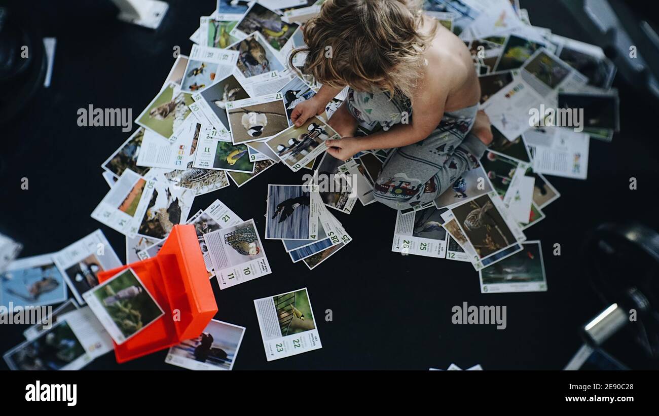 Niño sentado en imágenes de calendario de pájaros dispersos Foto de stock