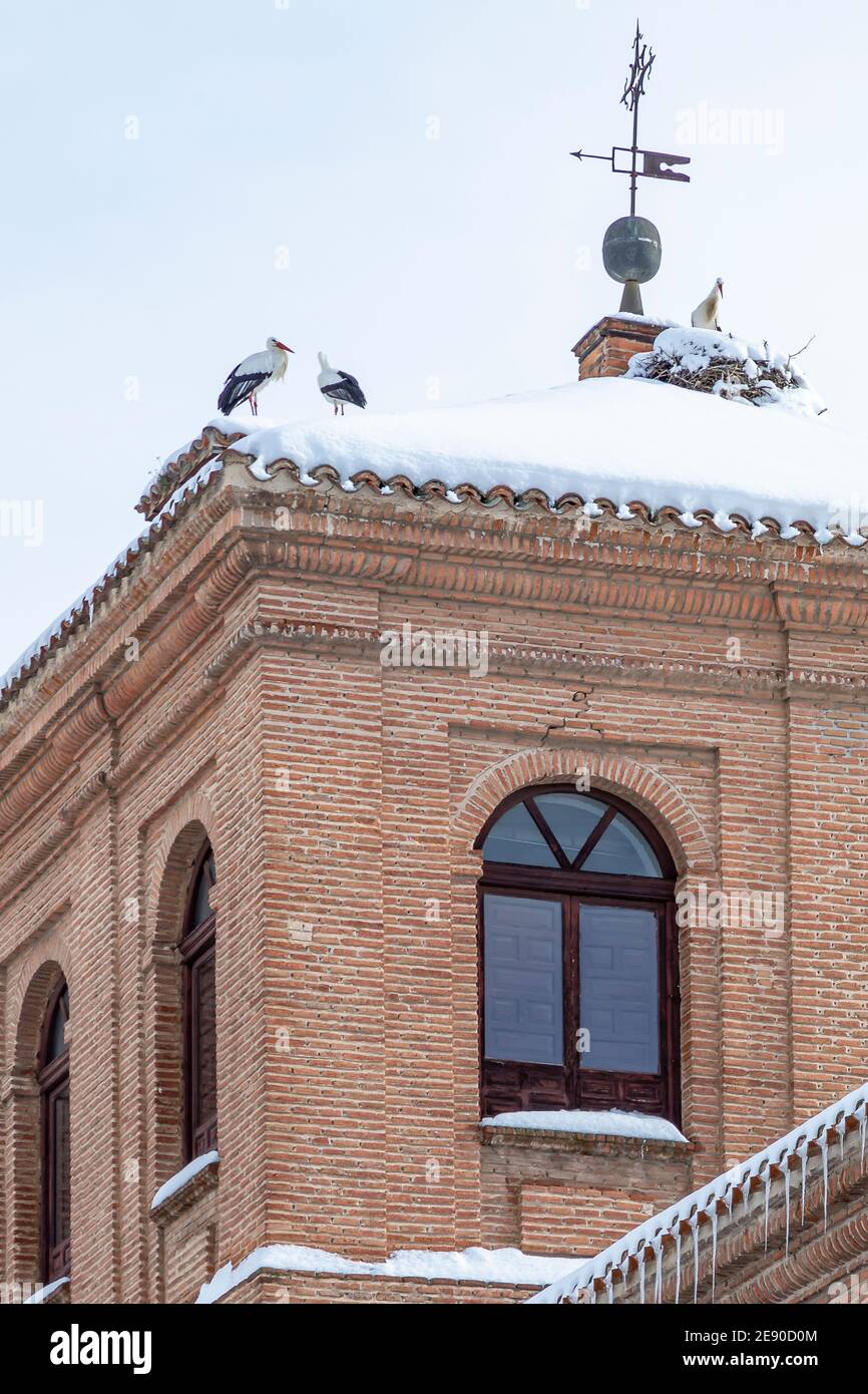 tres cigüeñas blancas y un nido en la cubierta de nieve techo de la torre  del colegio mayor de san pedro y san pablo en la ciudad de alcalá de  henares Fotografía