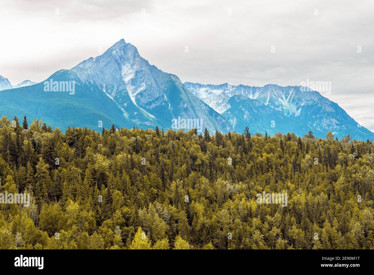 Pico de las Montañas Rocosas con bosque de pinos, Columbia Británica, Canadá. Foto de stock