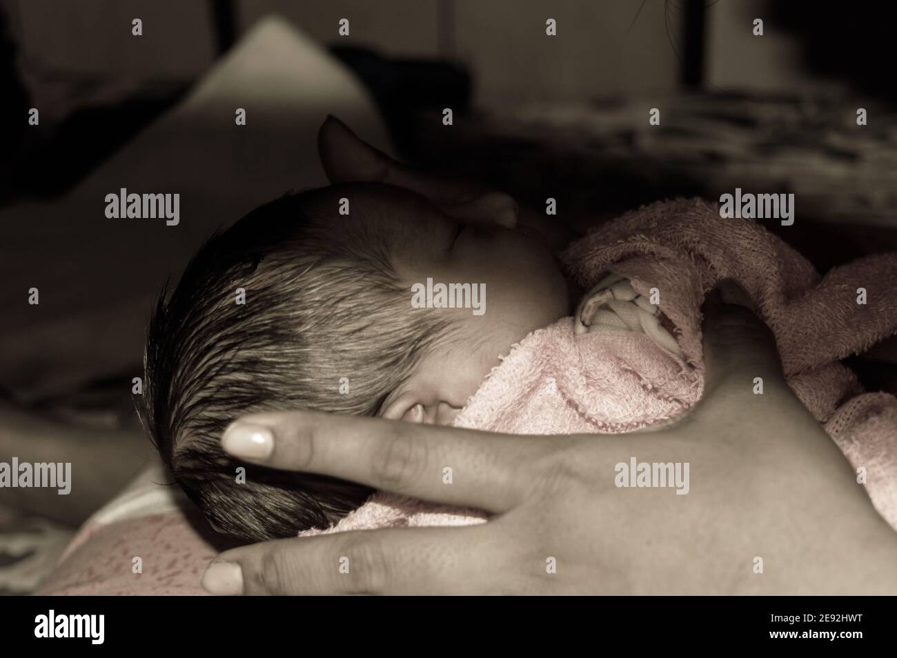 Recién nacido hermoso niño primer plano (6 días de edad) acostado en el  regazo de la madre en el hospital prenatal. Niño envuelto en manta para  bebé (ropa de abrigo) lookin para