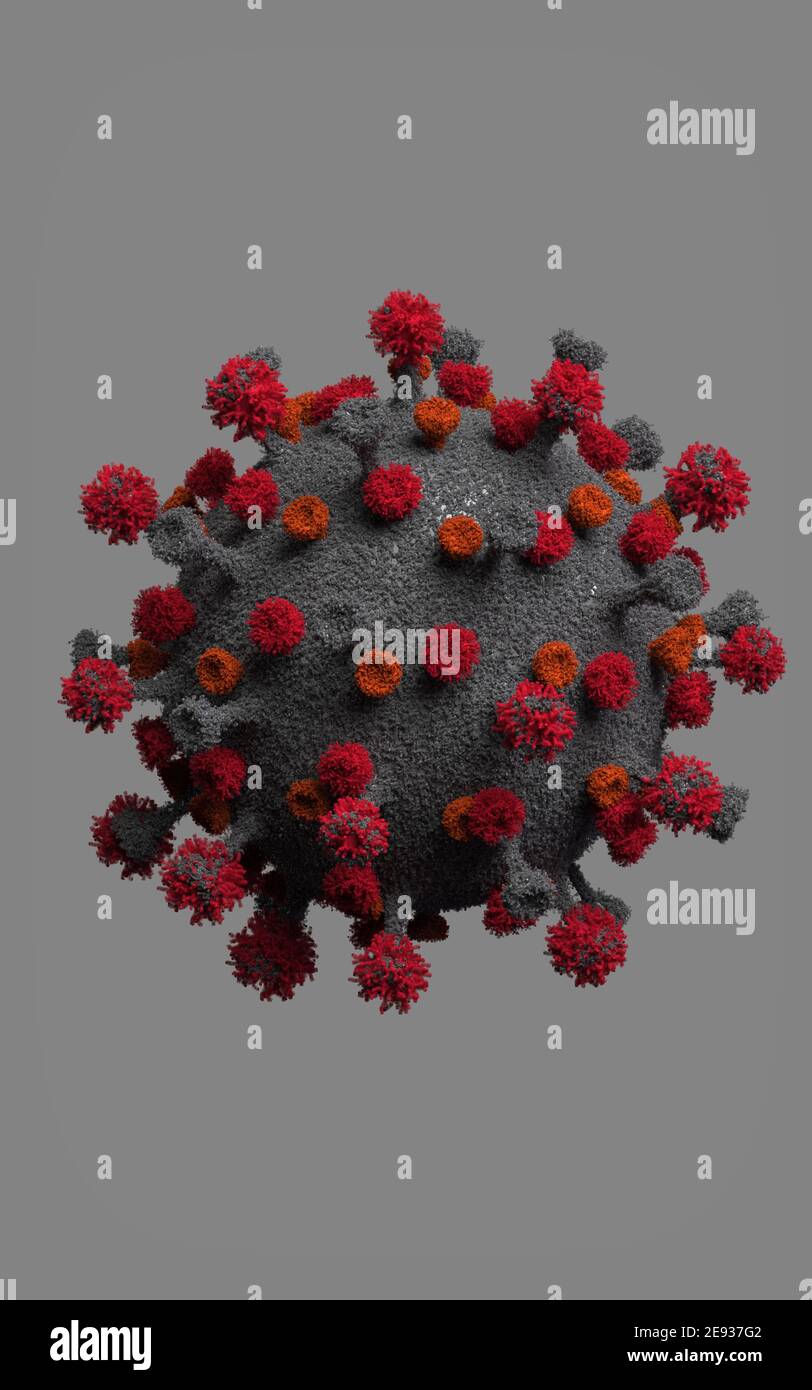 Cómo el coronavirus (SARS-CoV-2) infecta las células humanas Foto de stock