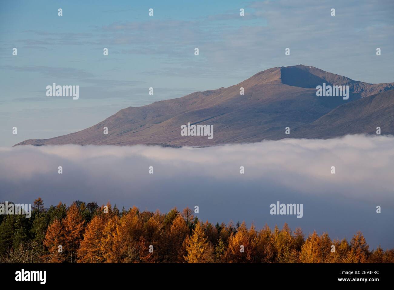 Ben Lawers Mountain, Escocia Foto de stock