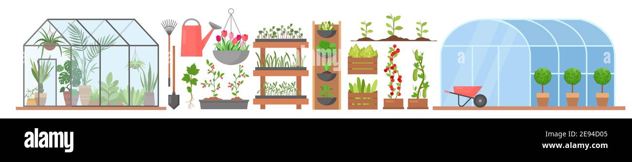 Invernadero con plantas de flores en crecimiento vegetales conjunto, vidrio o túnel de plástico invernadero Ilustración del Vector