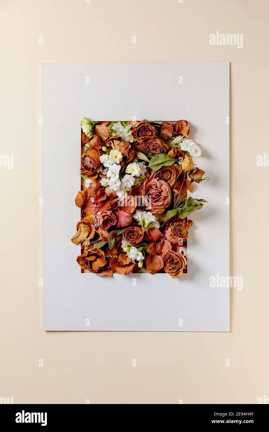 Diseño creativo con flores Foto de stock