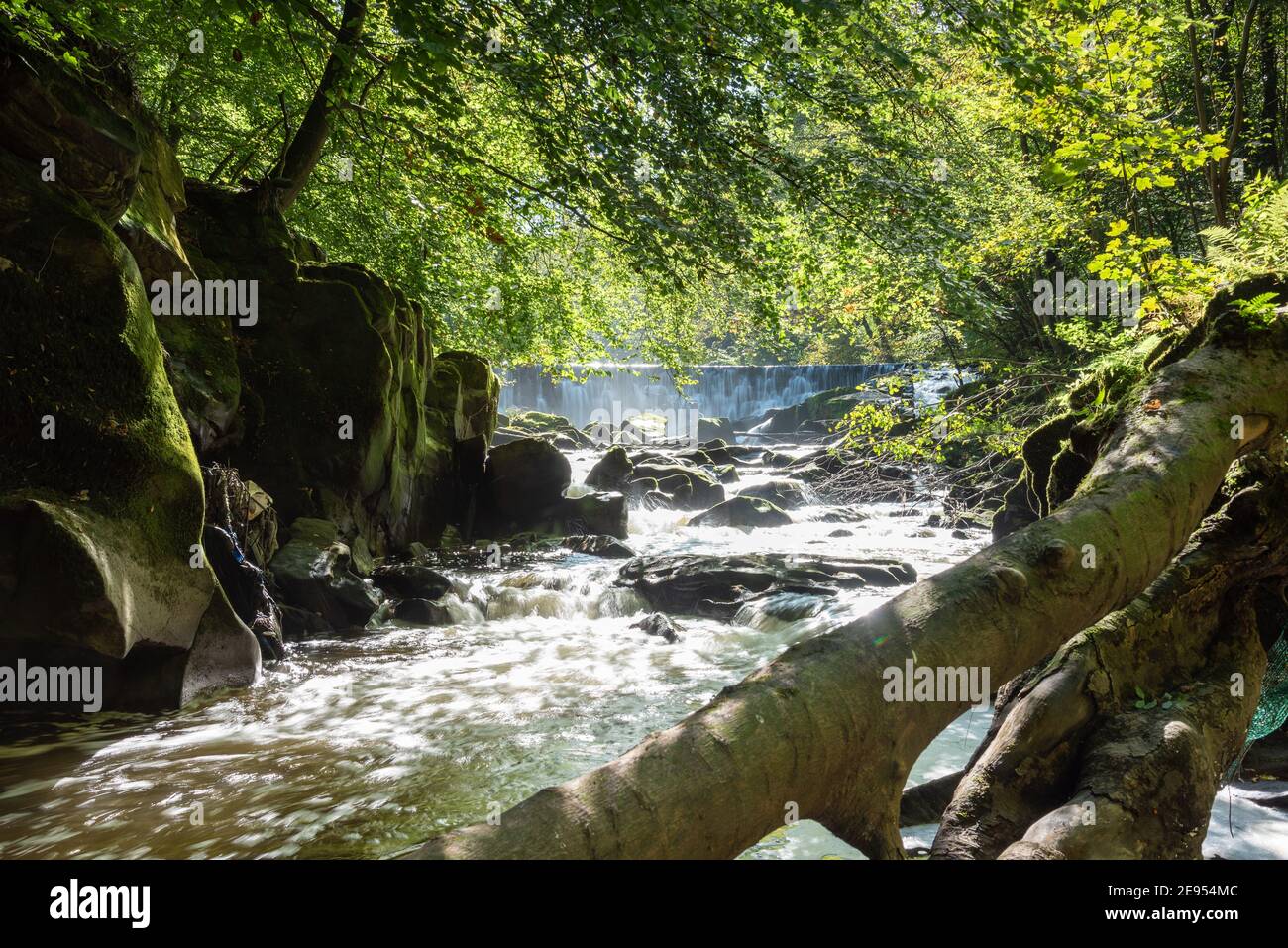 El río Darwen fluyendo a través de la joya escondida que es Bottoms de Hoghton Foto de stock