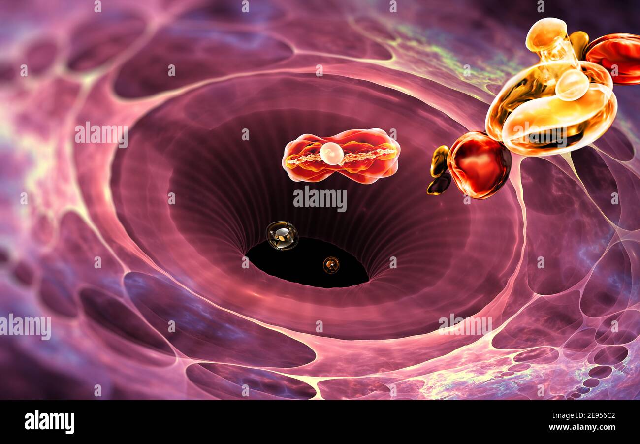 Célula del sistema inmunitario. Los glóbulos blancos comen bacterias. ilustración 3d Foto de stock