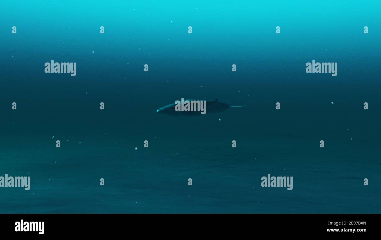 Rorcual nadando en el agua azul profundo del océano, escena submarina de la ballena Rorqual, Belleza de la vida marina, calidad alta 4K, render 3d Foto de stock