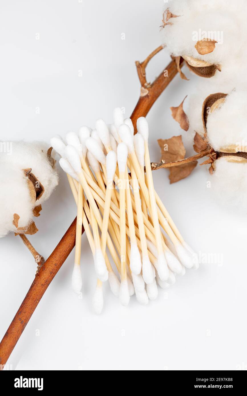 Hisopos de algodón de bambú con una rama de flor de algodón sobre fondo  blanco. Cero desperdicio, concepto de estilo de vida sostenible Fotografía  de stock - Alamy