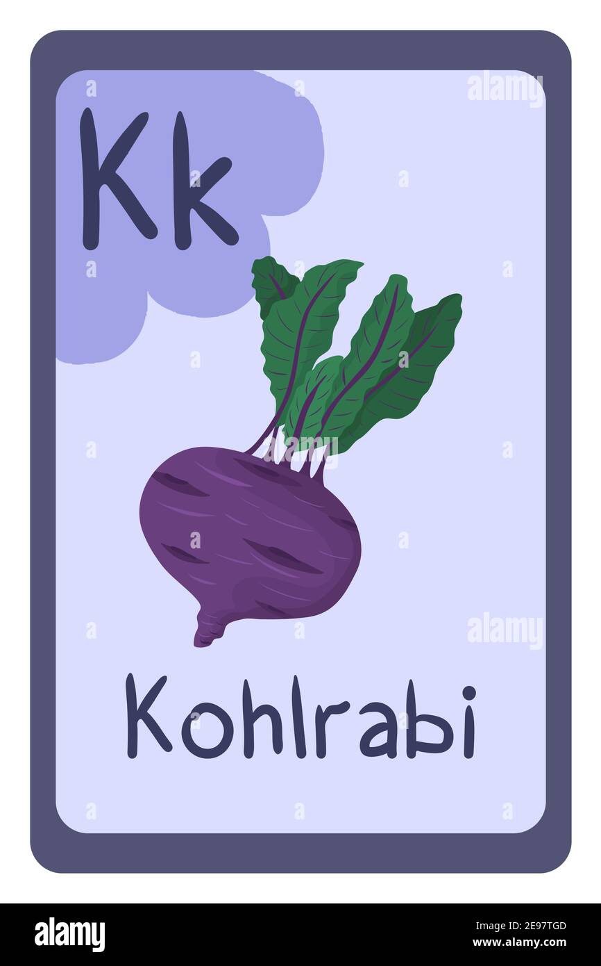 Ilustración vectorial del alfabeto con alimentos, verduras y frutas.  Tarjeta ABC, letra k - kohlrabi. Alimentos saludables Imagen Vector de  stock - Alamy