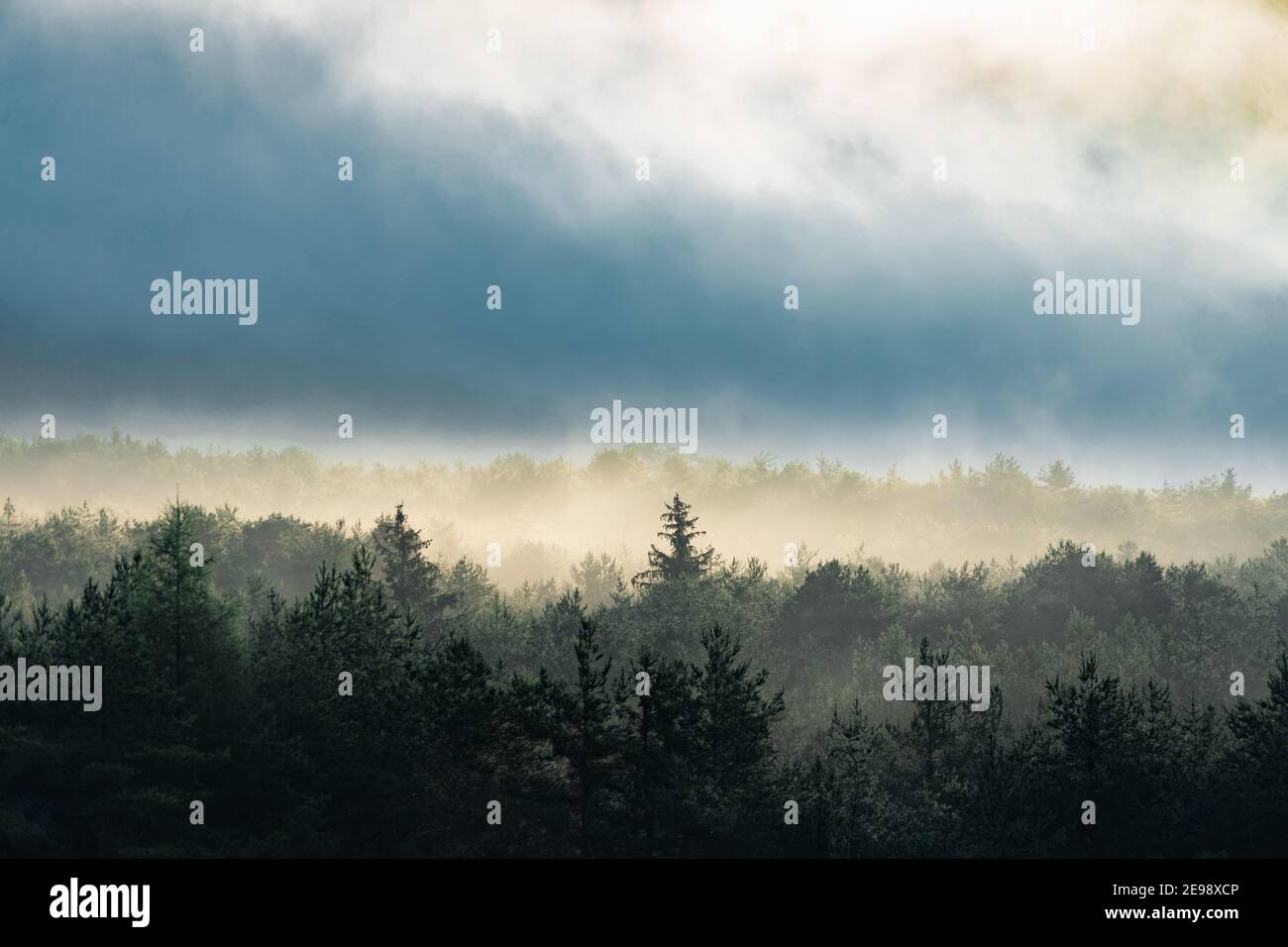 La niebla de la mañana sobre un bosque de valle de montaña Foto de stock