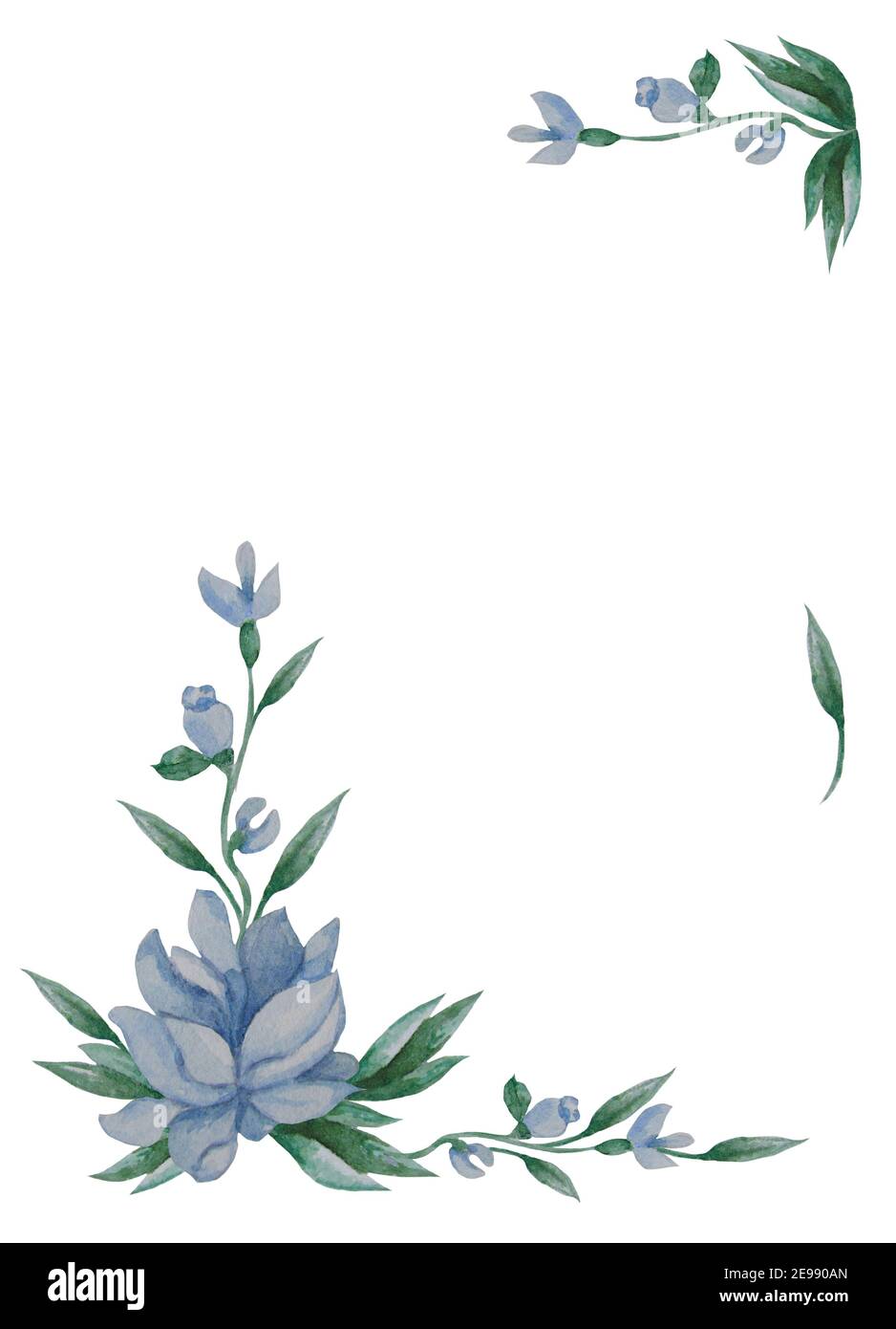 Patrón floral. El marco vertical de flores azules, brotes y hojas sobre  fondo blanco. Acuarela. Para diseño festivo, postales, decoración, packag  Fotografía de stock - Alamy
