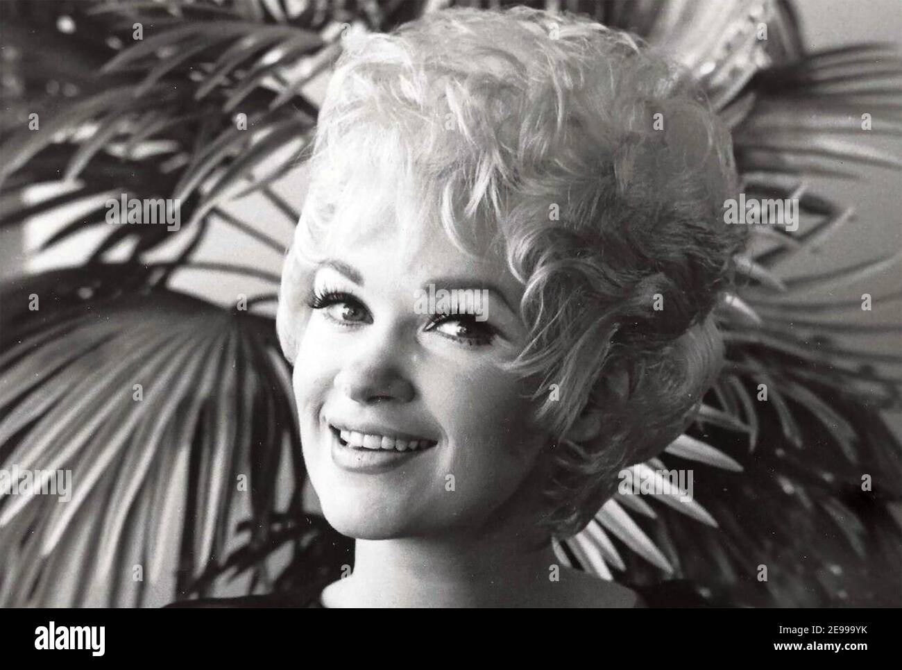 SUE RANEY Foto promocional de la cantante de jazz estadounidense nacida en 1939 Foto de stock