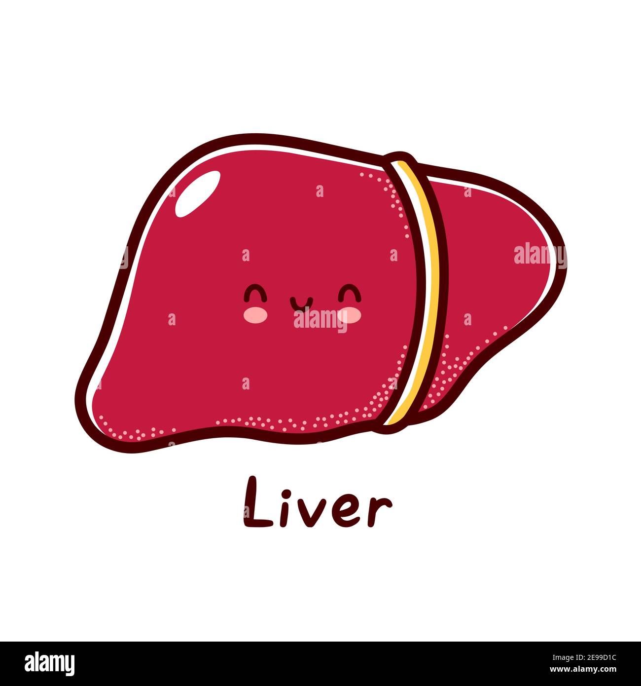 Lindo y divertido órgano del hígado humano carácter. Vector línea plana dibujos animados kawaii personaje ilustración icono. Aislado sobre fondo blanco. Hígado con el carácter de la cara mascota concepto Ilustración del Vector